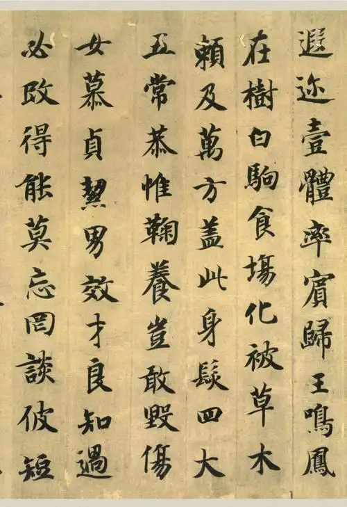 隋代僧人智永唯一存世墨迹真书千字文 - 爱读书