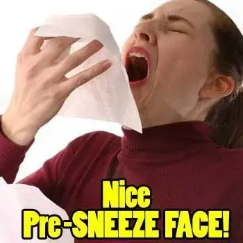 声音,眼神,表情都会在打喷嚏的瞬间暂停和抽搐.