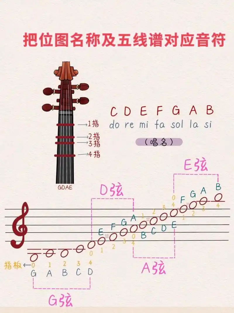 带你轻松认识把位图 小提琴不认识琴弦?小提琴为什么好几个把位图?