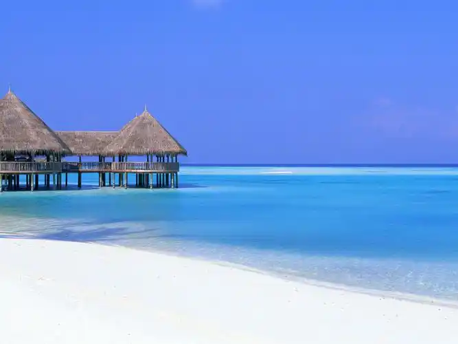 2020年属鼠本命年男运势怎么样佩戴什么可以改运