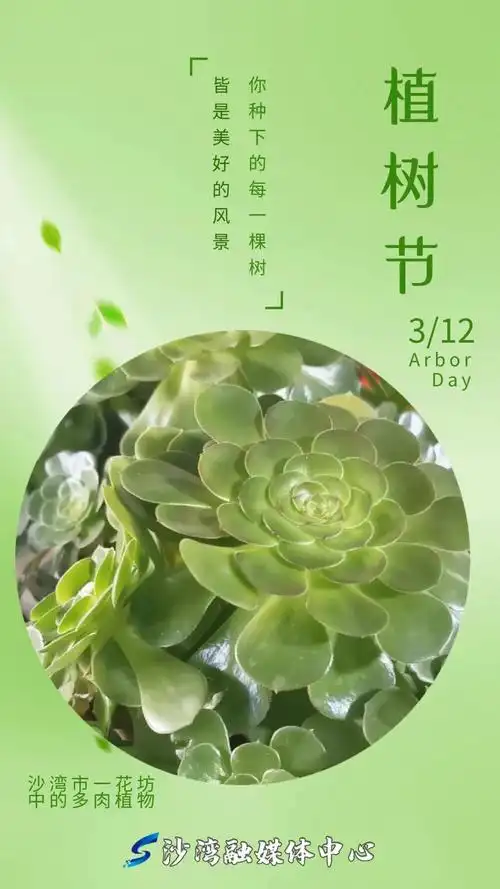 沙湾专属的绿色屏保来啦