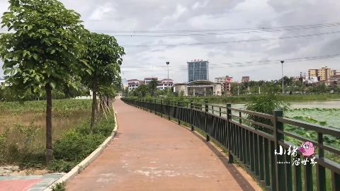 广东东莞:实拍虎门镇沙角广场,新建了一个湿地公园好漂亮啊!
