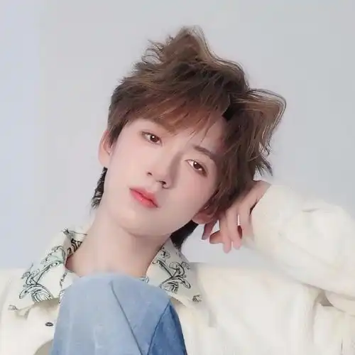 贺峻霖 梦蝶破笼