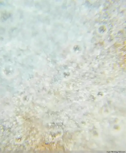 写美篇北宋汝窑天青釉水仙盆洗 ,微观放大100倍,有排列遵循气泡,釉上