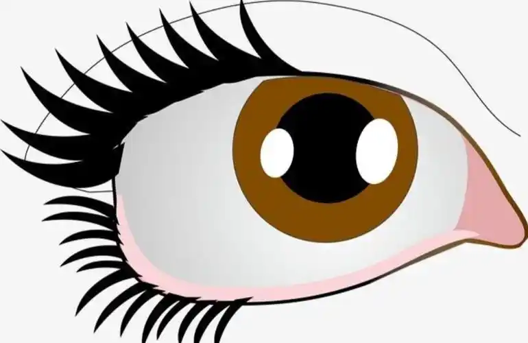 石镜幼儿园小班感官游乐园1语言活动眼睛大发现一2亲子游戏保护眼睛