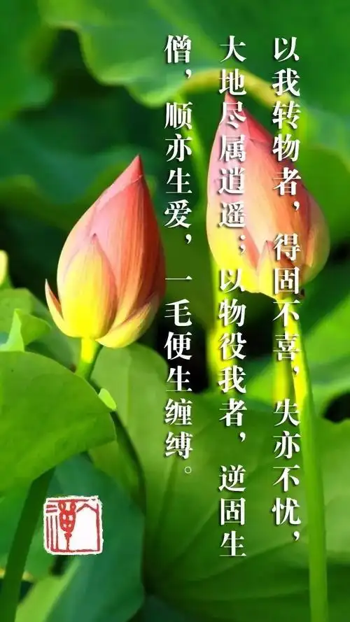 以我转物,逍遥自在|白话菜根谭