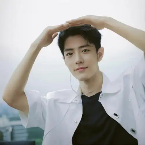 杨紫和肖战会结婚吗