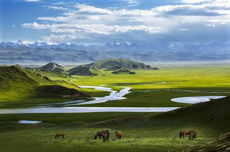 沿途美景一起来看|草原|新疆_新浪新闻