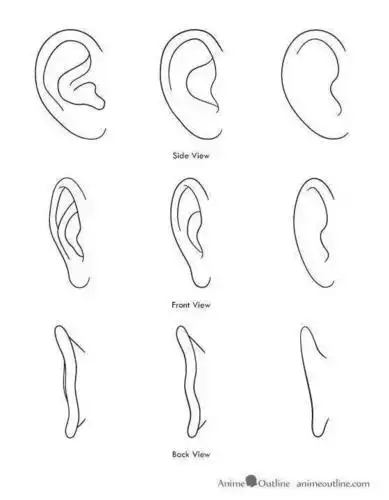耳朵简笔画图片耳朵简笔画图片大全可爱