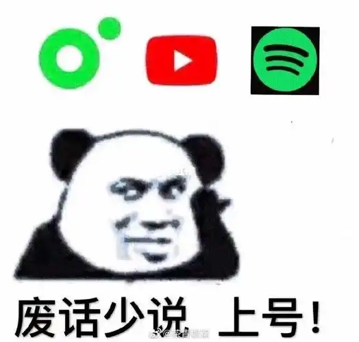 废话少说小绿相见