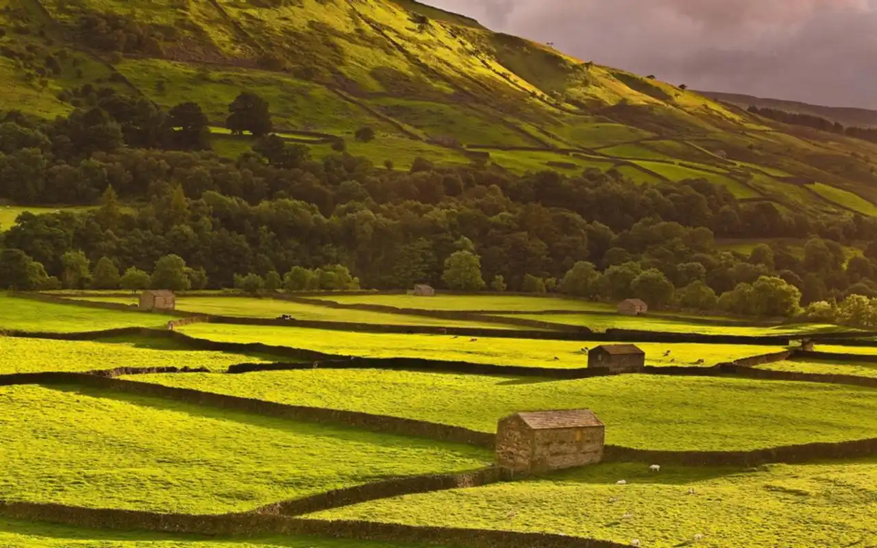 大自然绿色风景唯美高清桌面壁纸
