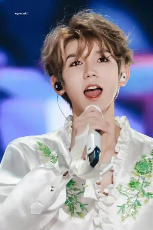 谁不知道王源粉丝吃很好啊  过年连续营业七天有源#王源串糖葫芦