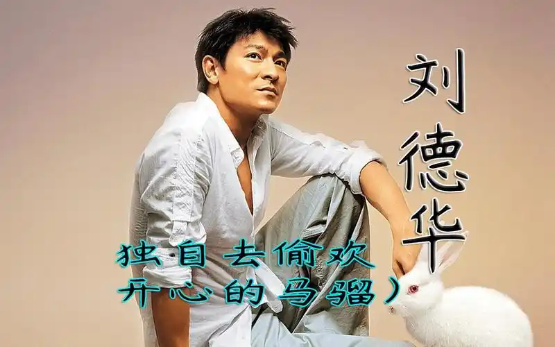 刘德华(独自去偷欢 开心的马骝)ktv传唱经典粤语动感歌曲华语mv成名作