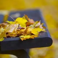 唯美意境盆秋雨落叶椅子风景图片大全-唯美头像