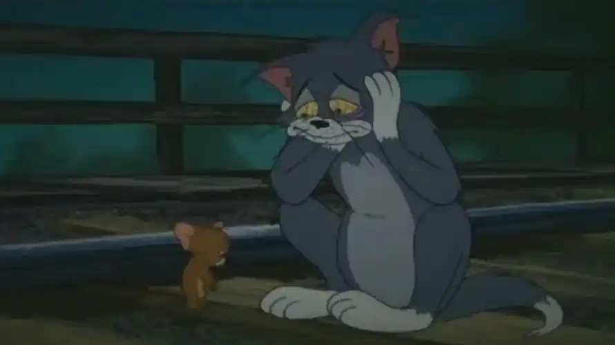 汤姆猫失恋伤心"substance"物质的爱情