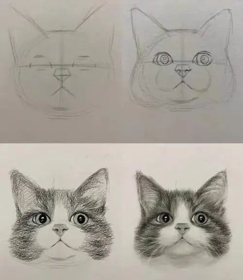 成人零基础如何学习素描?(详解正确的方法和流程)