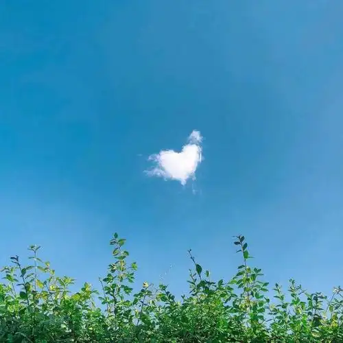 快手风景头像_480x480尺寸快手专用风景头像_第16页_qq头像_我要个性