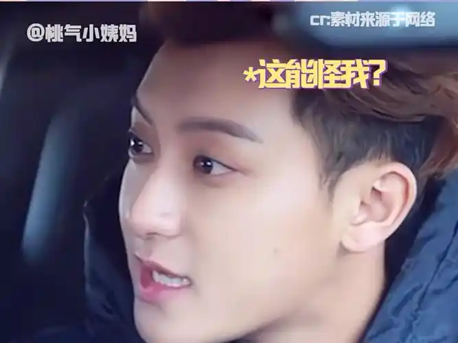 这个角色含"韬"量极高 "黄子韬 "杨幂 "搞笑 "本色出演