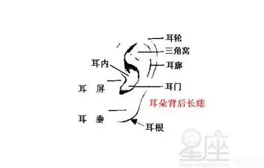 男人耳朵长痣面相图耳背有痣的男人易犯小人