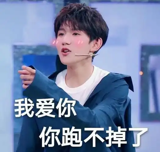 tfboys搞笑表情包图片