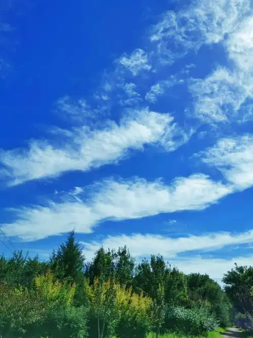 同在蓝天白云下