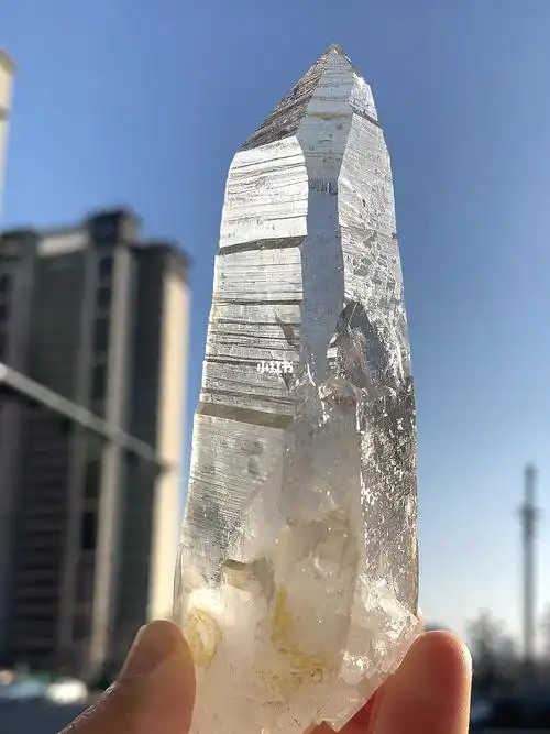 带资料库的木佐利姆