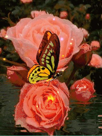 花美人真正的风情万种太美了