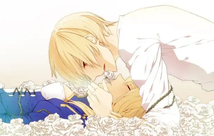 闪闪saber 双王 金剑 fate