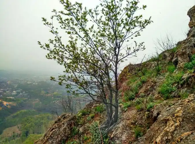 5千米,面积3.7平方千米.主峰海拔438米,峰陡峦翠,素有"鹿鸣耸翠"之誉.