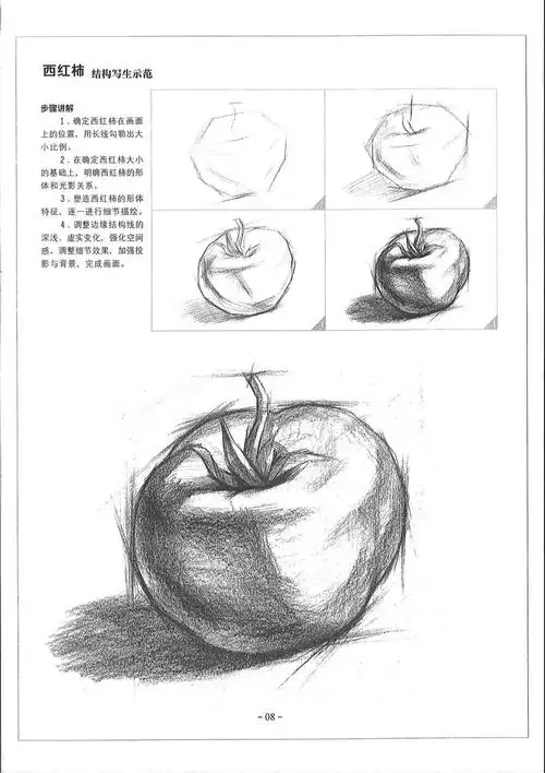 素描基础教程.从结构到明暗2.单体静物