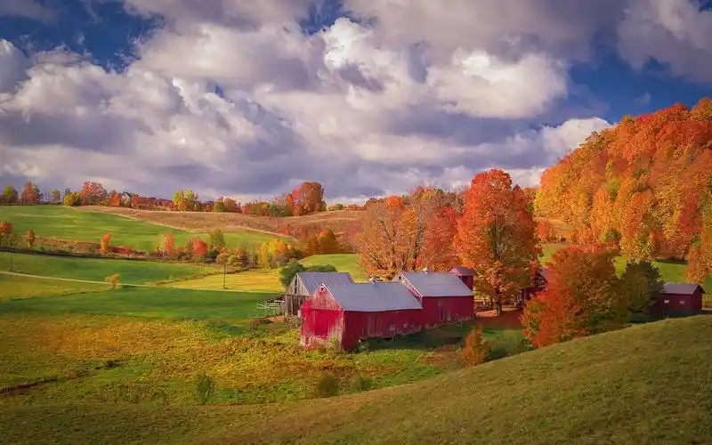 田野,树木,房子,秋天 750x1334 iphone 8/7/6/6s 桌布,背景,图片,照片