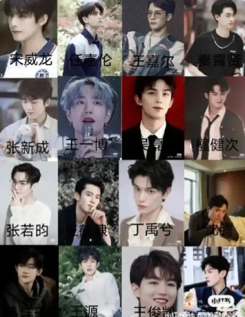 所有男明星图片