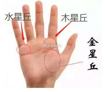 星丘上的格子纹都有什么含义一,金星丘金星丘有格子纹,多是外貌协会