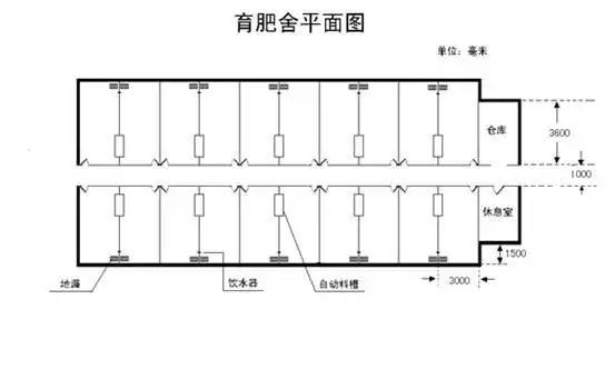 育肥猪舍设计示意图(附图)
