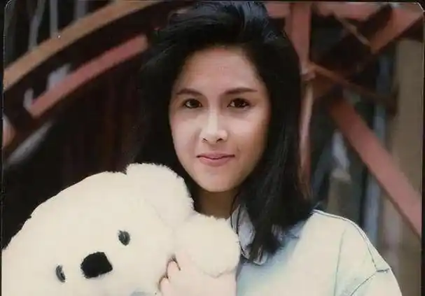 邵美琪与郑伊健相守7年被天后横刀夺爱住上亿豪宅至今未婚