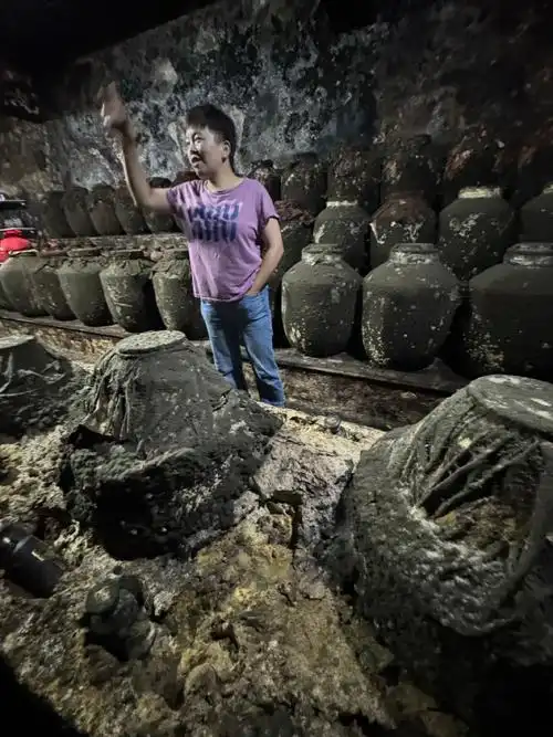 还是经不起诱惑买了几斤地下窖藏酒#酒窖##龙兴古镇#重庆·龙兴镇