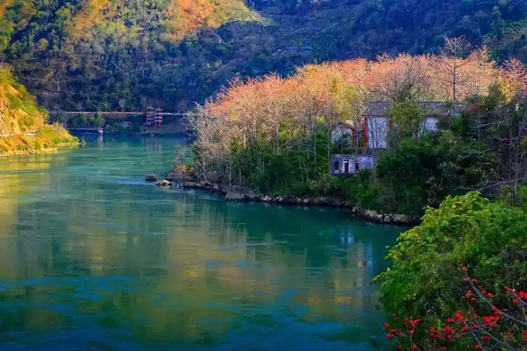 创建天府旅游名县丨盐边县品味大笮摄影诗歌大赛第四赛季大笮迎春作品