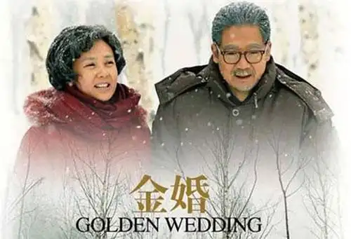 《金婚》:不是我想写   而是我能写