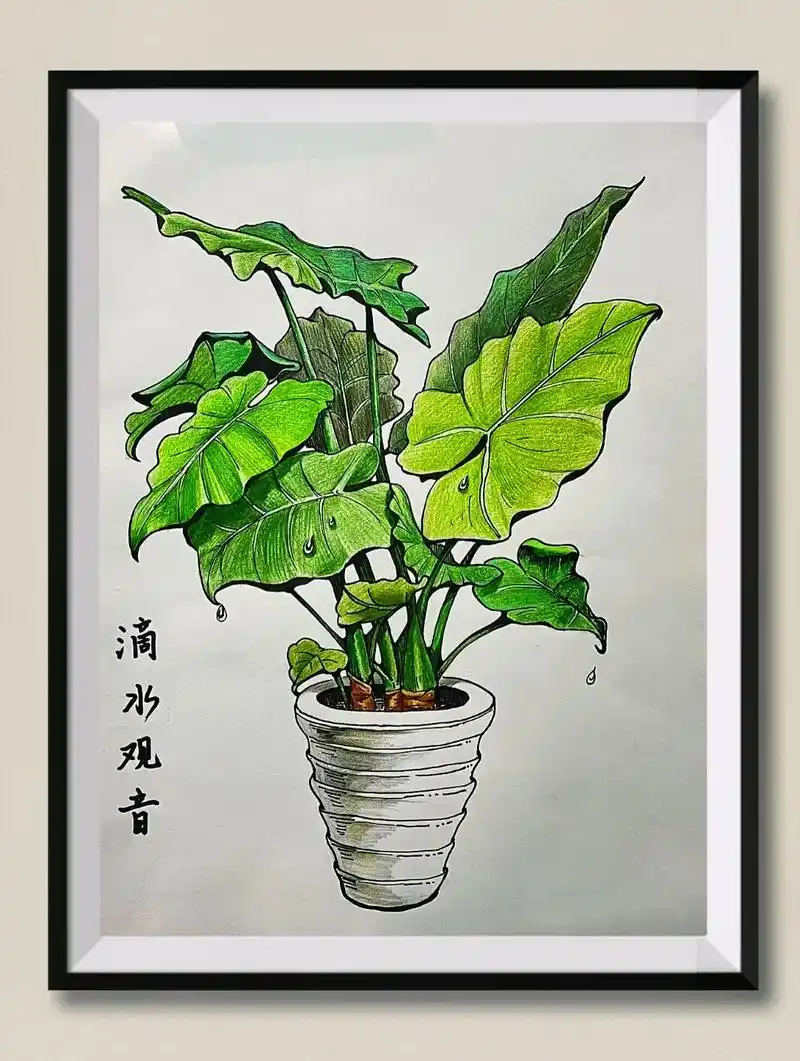 彩铅画滴水观音素材来自某书阿大呀