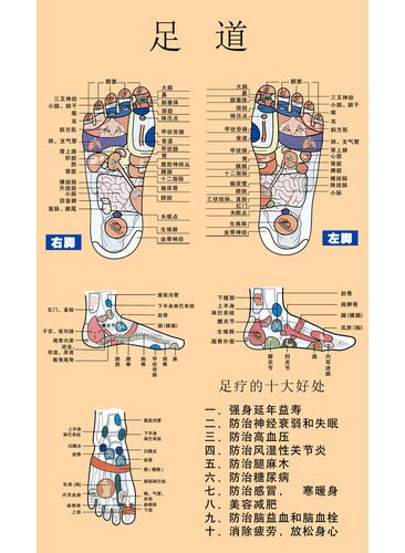 754海报印制展板写真喷绘646足道足疗穴位图脚底示意图足疗的好处