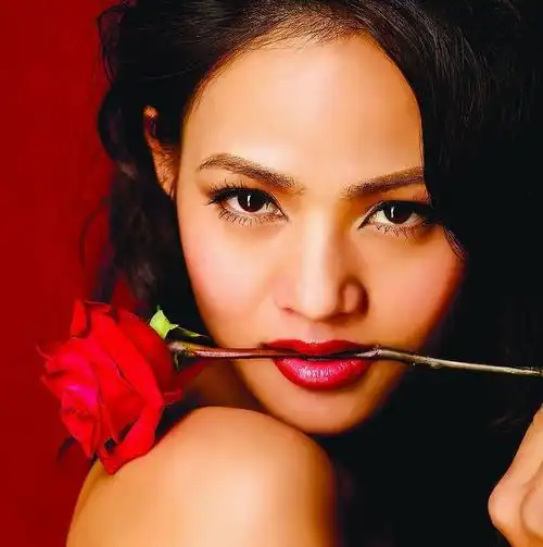 大家帮帮忙,找几张嘴叼着玫瑰花的图