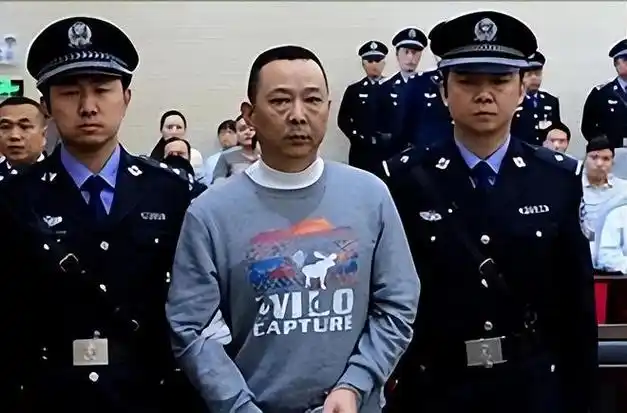 2015年,四川土皇帝刘汉被执行死刑,被拉进车里时满脸惊恐|刘维|犯罪