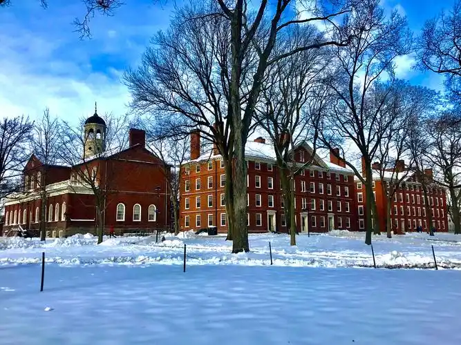 雪后的哈佛大学校园,安静,神圣. - 晓霞看世界 - 图虫