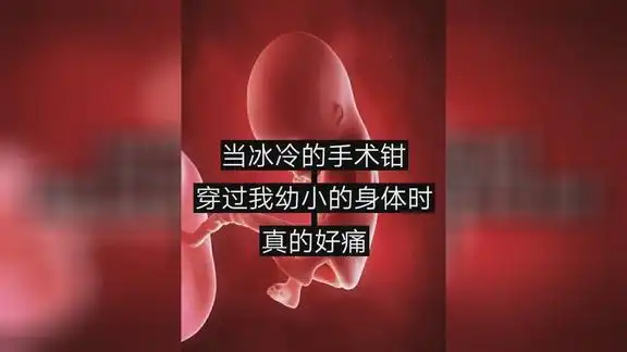 被打掉的孩子的心声看完我承认我哭了