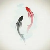 适合做头像的鱼的图片唯美点击鼠标右键下载