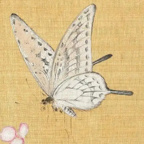 清余省百蝶图局部四