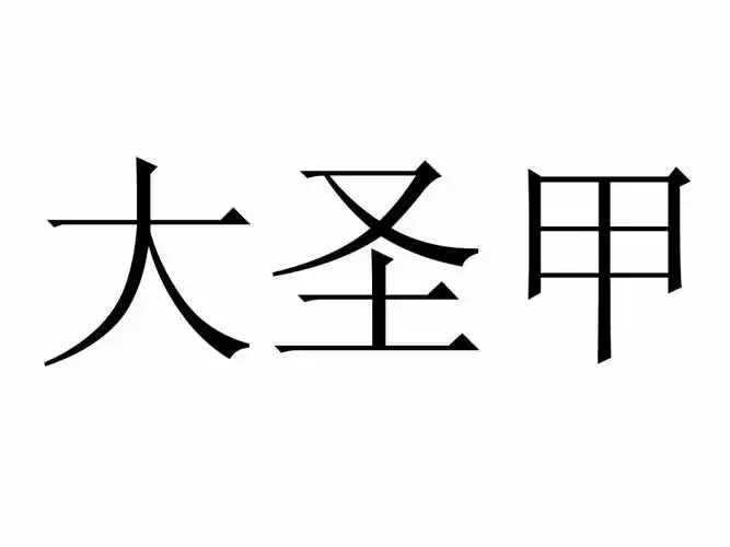 大圣甲 商标公告