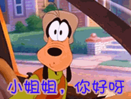 小姐姐你好呀gif高飞gif