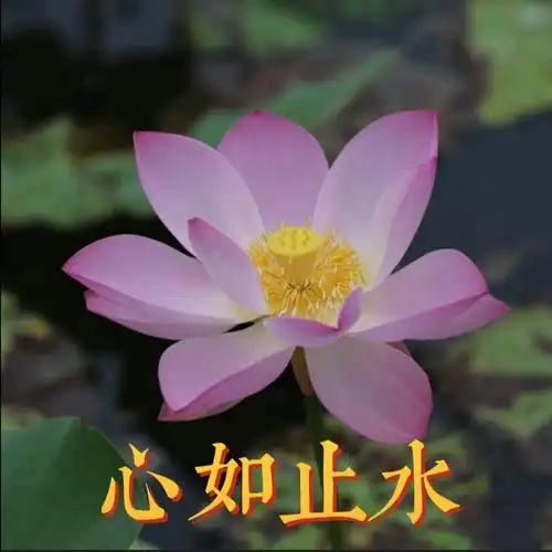 有没有学习相关的头像推荐