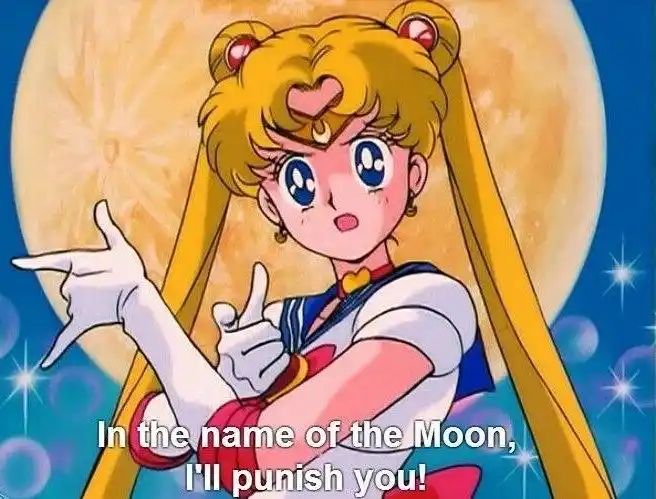 洪班长我代表月亮消灭你